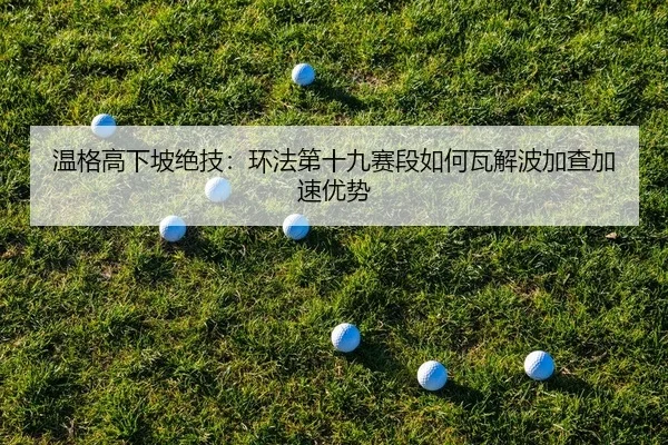 温格高下坡绝技：环法第十九赛段如何瓦解波加查加速优势 | yaxin